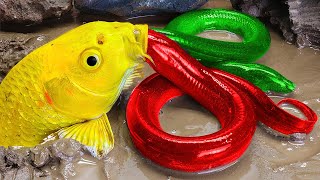 Most Satisfying Fish Machhali Wala Cartoon | Stop Motion Cooking ASMR 1000+ Funny Video Compilation by Animal Stop Motion Cooking 331,556 views 9 months ago 27 minutes