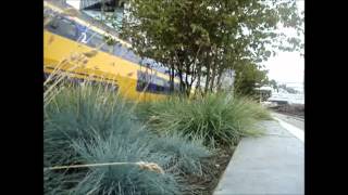 Treinen Op Station Leiden Centraal 282012