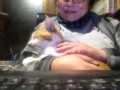月光の子守唄 を聞く猫 月光の子守唄 を聞く猫