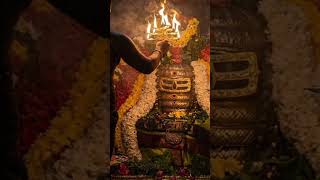 యథా దేవో జగత్రయే🙏#mahadev#shiva#lordshiva#harharmahadev#mantra#shloka#telugu#devotional#shorts