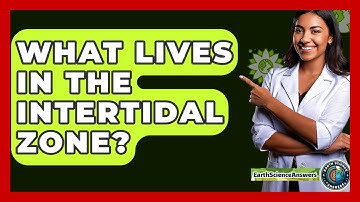 What Lives In The Intertidal Zone? - Earth Science Answers