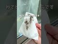 【窓掃除】もう雑巾はいらない!拭き跡が残りにくいラク掃除術✨