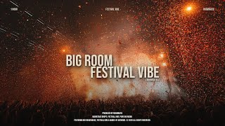 Big Room House Mix 2026 | 1 Hour Festival Vibe | RoomNatic Mainstage