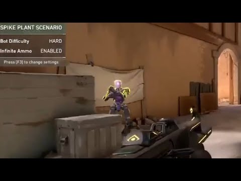 射撃場のBotにリスキルされるバグが発生【VALO】