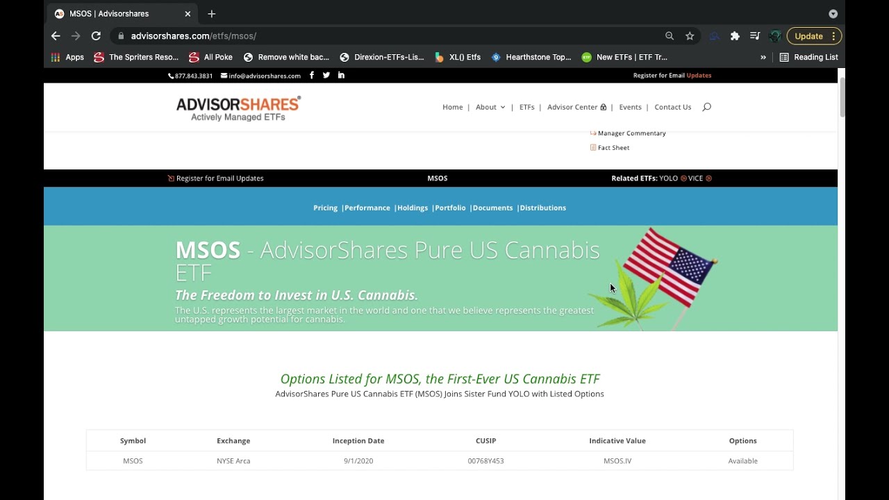 MSOS ETF Introduction