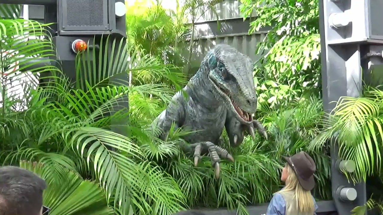 Universal Studio Raptor Raptor Encounter Universal Studios, Orlando Fl - YouTube