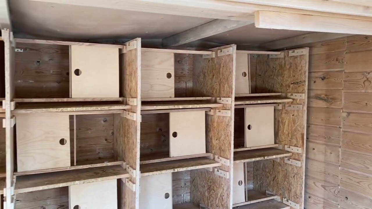 Reisetaubenschlag 2026