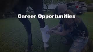 Workforce Bound: Equine Studies