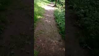 Download Lagu 01001001 01101110 01101110 01101111 01100011 01100101 01101110 01100011 01100101 00001101 00001010 MP3