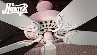 52 Hunter Original Ceiling Fan