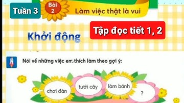 Lớp 2 TIẾNG VIỆT SÁCH CHÂN TRỜI SÁNG TẠO Môn Tập đọc Tuần 3 Bài Tóc xoăn và tóc thẳng