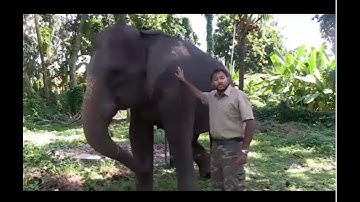 3.9C 3rd grade Science Changes in Ecosystems Thrive, Perish, and Move