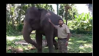 3.9C 3rd grade Science Changes in Ecosystems Thrive, Perish, and Move