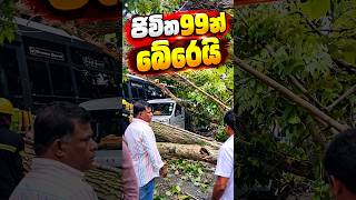 ජිවිත 99න් බේරෙයි