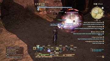 Levelling bots in Final Fantasy XIV ( Cheaters )