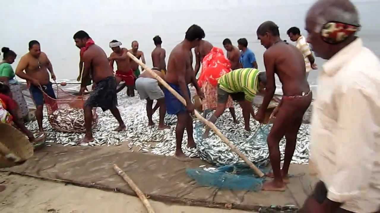 Colva beach Goa, India - early morning fisher man