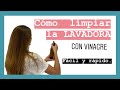 Cómo LIMPIAR 🧼 la LAVADORA por DENTRO con VINAGRE. Cómo MANTENER la LAVADORA [FUNCIONA ⭐️]