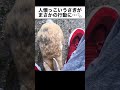 人懐っこいうさぎがまさかの行動に…