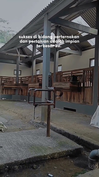 aaaaammiiiiin 🤲🏽 #bahanswmu #storywa #kambingetawa #kambing
