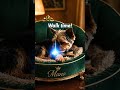 Walk Time? Maybe Later... #ai #aidog #aivideo #yorkie #yorkshire #funny #cutedog