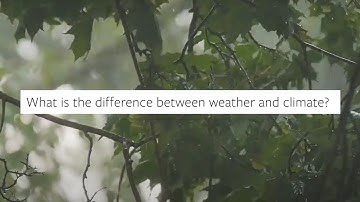 What is the difference between weather and climate?
