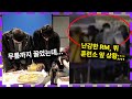 RM 뷔 입소하는 날... 방탄소년단 팬들 분노하게 만든 장면과 한숨 돌린 상황들ㅠㅠ BTS NAMJOON RM ARMY