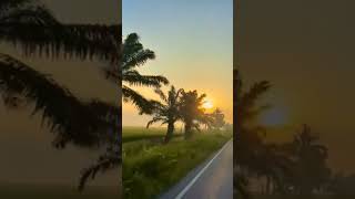 Download Lagu #sholawatan #readquranmyid #trikshorts #shalawat #sholawat #trending #dzikir #doa MP3 Download Lagu #sholawatan #readquranmyid #trikshorts #shalawat #sholawat #trending #dzikir #doa MP3