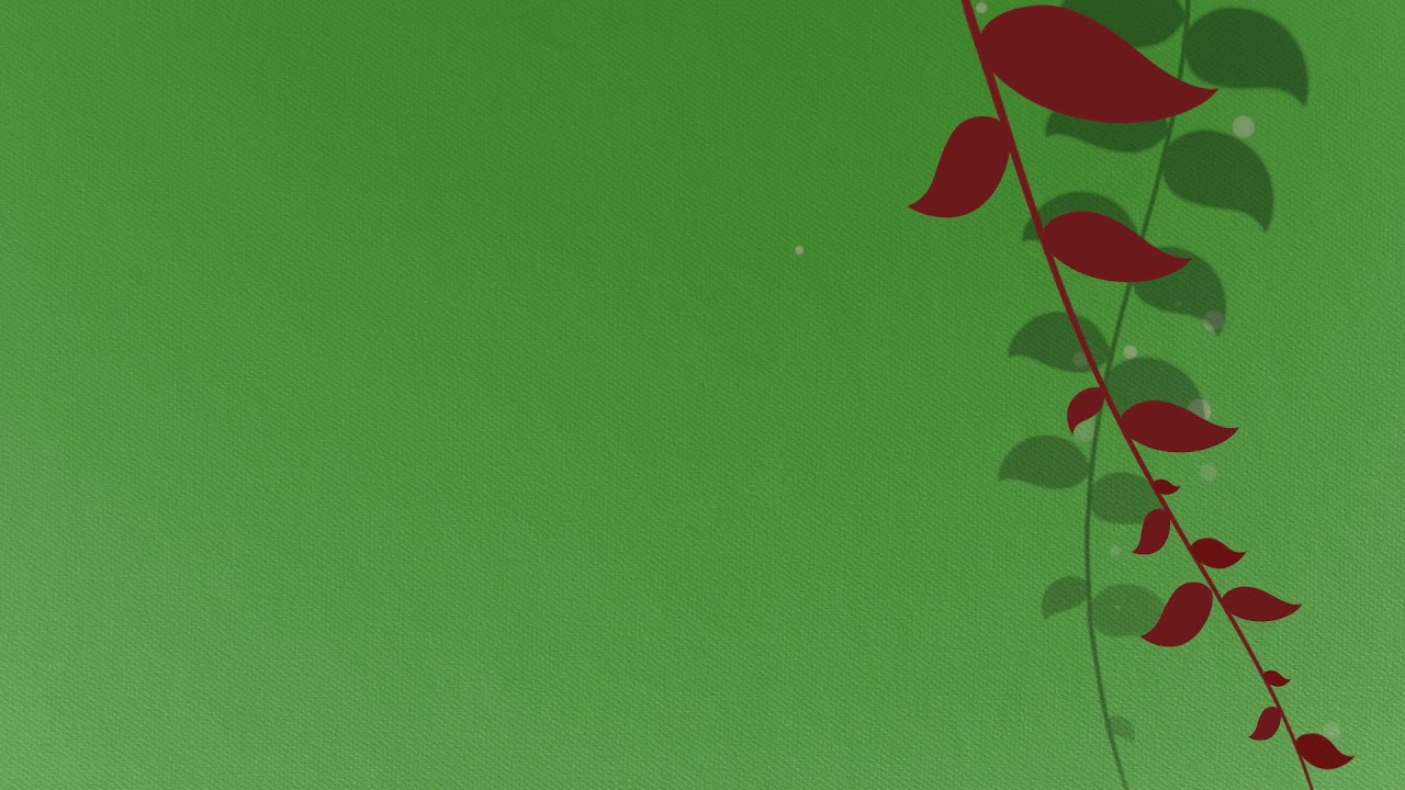 Copyright free green screen | no text background | Leaves