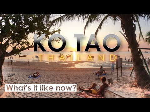 Ko Tao, Thailand - What's It Like Now Watch Before You Go | Thailand Travel
