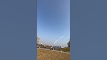 You Are Too Stupid. #hangglider #funny #pets #cute #travel