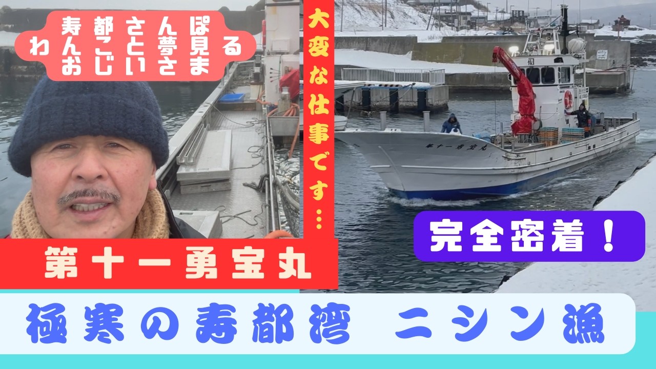 #26 極寒の寿都湾　ニシン漁　#ニシン　#寿都　