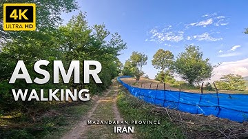 ASMR Jungle 4K with Bird Sounds - GoPro HERO11