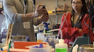 Celebrity Area students explore research careers during UVM Cancer Center visit Net Worth