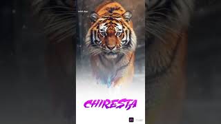 big tiger