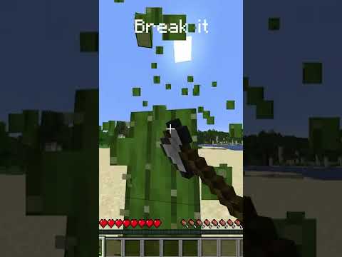 What Tool Mines Cactus The Fastest Minecraft