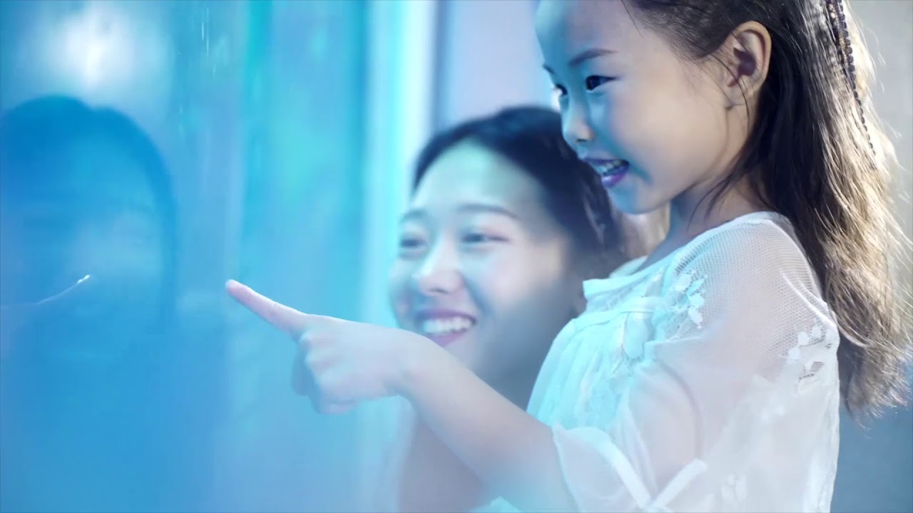 Poseidon Underwater Suite | Atlantis Sanya