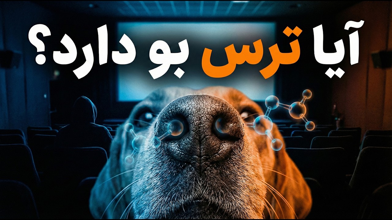 آیا ترس بو دارد؟