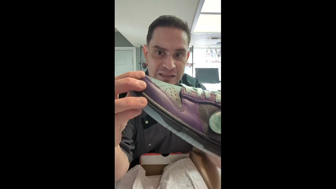 NIKE DUNK LOW RETRO LTD HWN shoe review! 