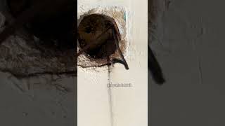 Topraksız Eve Kaçak Akım Rölesi Takılır Mı?