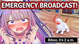 Biboo Did An Emergency Broadcast At 2 Am...