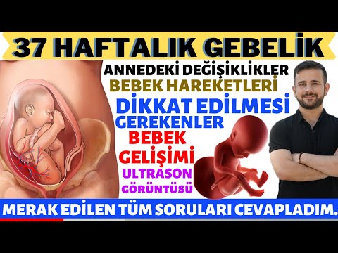 Video: 37 Haftalık Hamilelik: Duyular, Fetal Gelişim