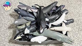 Sea Animals Collection  Shark Whale Dolphin Narwhal Beluga Megalodon Megamouth Vaquita Sawfish Orca