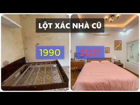 Video: Tu sửa tường tân trang nhà