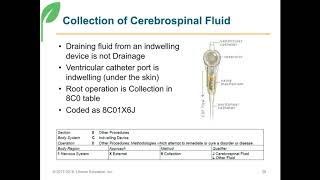 Pediatric Neurosurgical Coding Uncommon Pediatric Neurosurgery Procedures