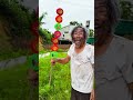 😂 Little Brother's Secret Trick Had Everyone Laughing! 🤣 #shorts #funny #littlebrother #viral