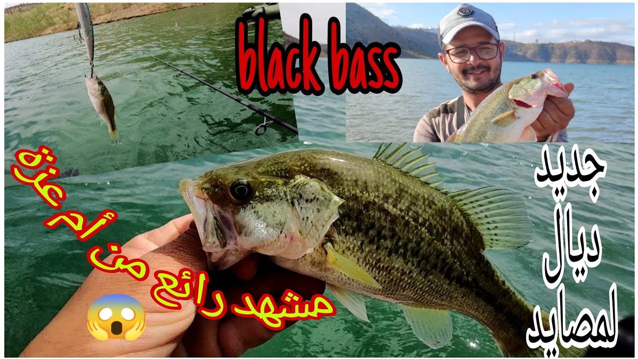 مشهد رائع من سد سيدي محمد بن عبد الله ( المصيد ام عزة) أخظر مصيد كولو ربيع 🌱 و شجر 🌳 اللهم بارك 🐟