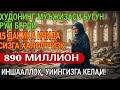 10 дақиқа ичида синаб кўринг пул келиши бошланади