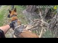 Nine Minutes of Police K9 Dogs Finding Criminals - #bodycam  Compilation