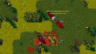 tibia pk malvera 3