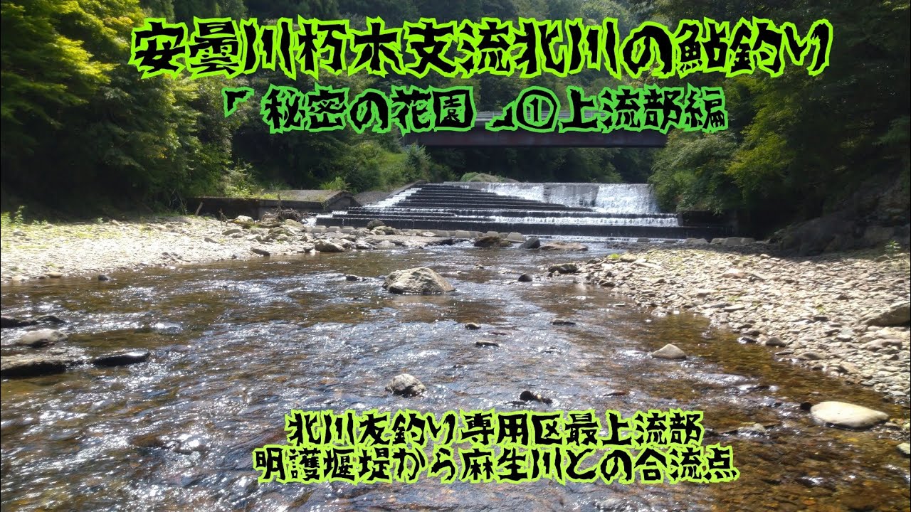 安曇川朽木漁協支流北川の鮎釣り「秘密の花園」①上流部編